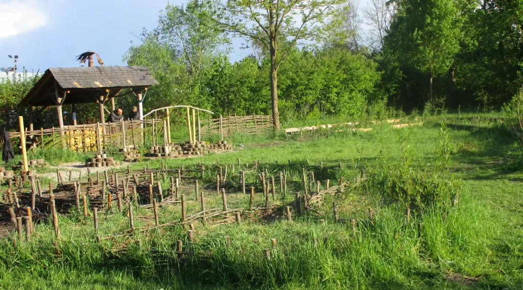 Haies Vives d'Alsace - Folies du Mulbach