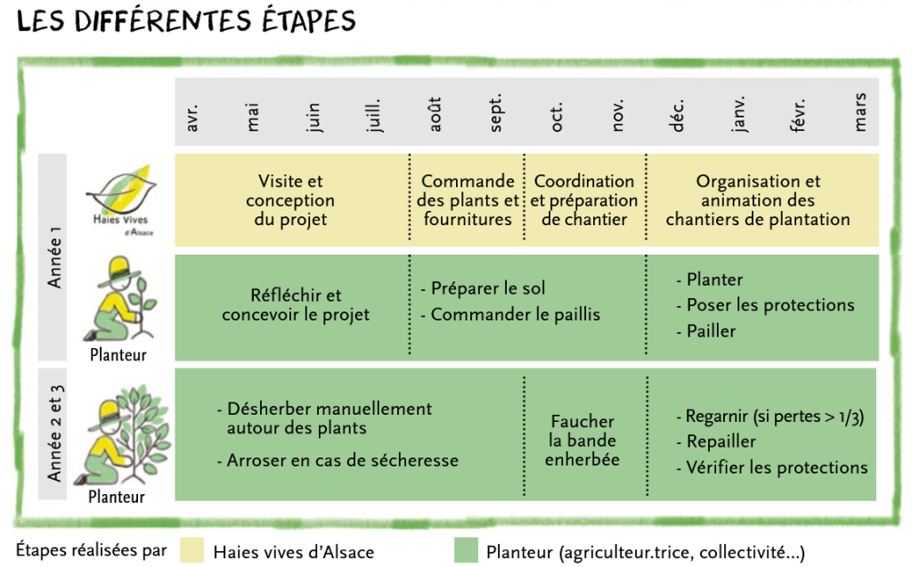 Différentes étapes de nos projets - Haies Vives d'Alsace