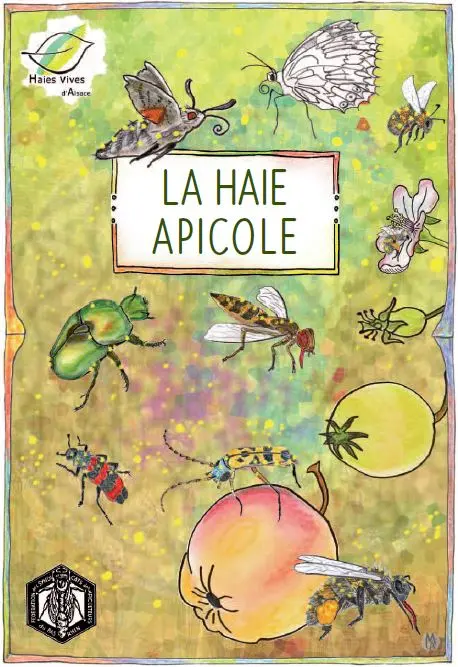 Haies Vives d'Alsace - Publication - La haie apicole.