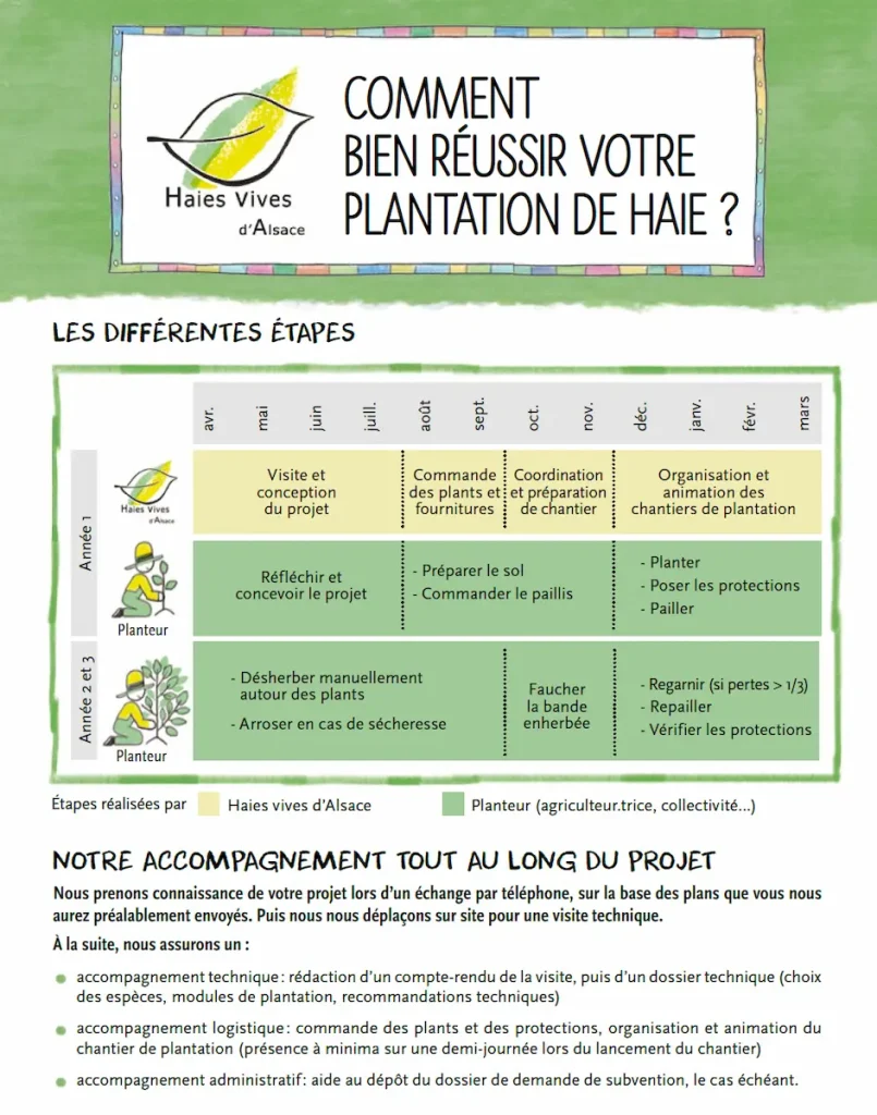 Haies vives d'Alsace - Réussir sa plantation de haies