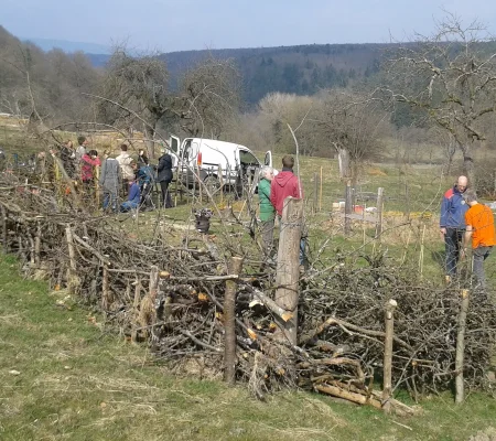 haie-seche-molkirch-2015