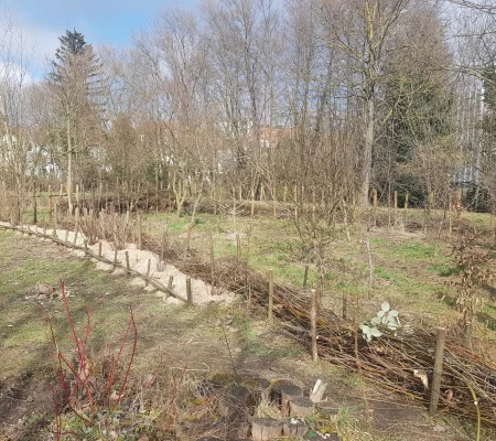 haies-vives-alsace-20250301-121905