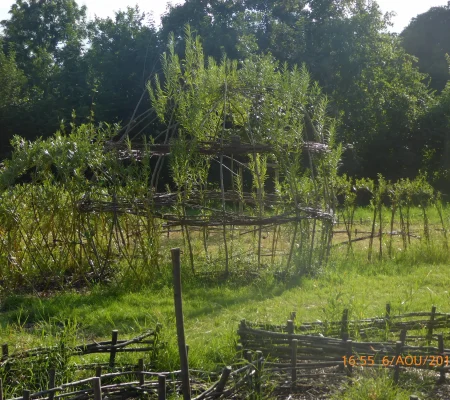 haies-vives-alsace-P1110644